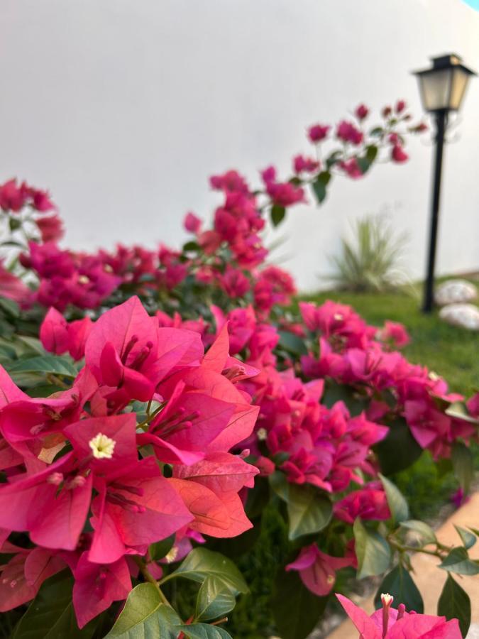 Casa Olimpia Sp Villa Eksteriør billede
